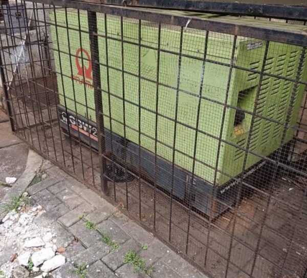 gensecond84 gensecond84